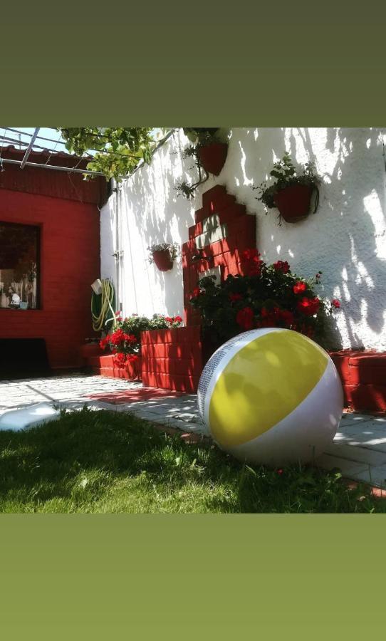 Studios Eleni Paschali Skala Potamia  Exterior foto